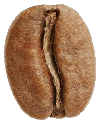 Espresso roast bean